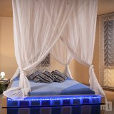 Brothel Girls Heilbronn,  Heilbronn