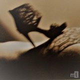 Erotische Massage " OASE" mit Wohlfühleffekt..., Karlsruhe