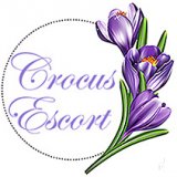 Escort Service Crocus Escort, Heidelberg